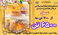 روایت دستاوردهای انقلاب اسلامی در کشاورزی استان مازندران/ عسل